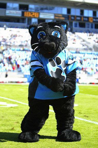 Panther mascot